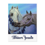 Desert Jewels Arabian horses postcard