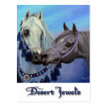 Desert Jewels Arabian horses postcard