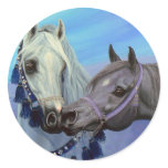 Desert Jewels Arabian horses stickers