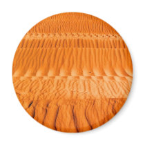Desert Fridge Magnets