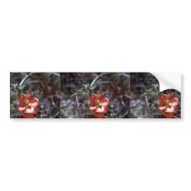 Desert Mallow Bumper Sticker