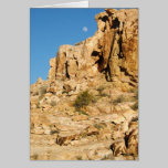 Desert Moon cards