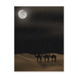 Desert Moon postcards