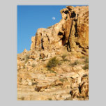desert moon posters