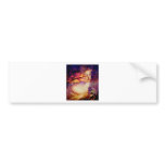 DESERT MUSE BUMPER STICKERS