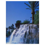 Desert oasis flyers