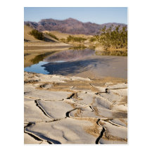 Desert Oasis Post Cards