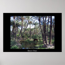 Desert Oasis Posters