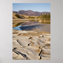 Desert Oasis Posters
