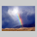 desert rainbow posters
