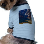Desert Ravens pet clothing