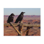 Desert Ravens postcards