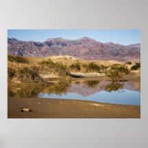 Desert Reflection Poster