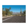 Desert Road Postcard