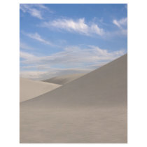Desert Sands Full Color Flyer