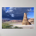 Desert Scene posters