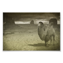 Desert Ship Photo