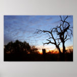 Desert Silhouette Posters