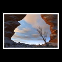 Desert Snow posters