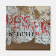 Desert Storm Magnet