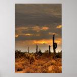 Desert Storm Poster