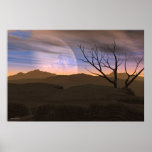 Desert Sunset, By Phil McCall (34X23) posters
