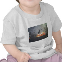 Desert Sunset Tee Shirt