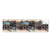 Desert Tortoise Bumper Stickers