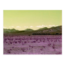 Desert Train Postcards