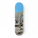 Desert Tree skateboards