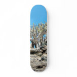 Desert Tree skateboards