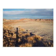 Desert Wave: Petrified Forest National Park Post Card