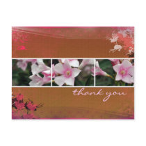 DesertBotanicals Postcard - brown