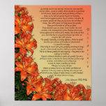 Desiderata "desired things", prose asian lilies