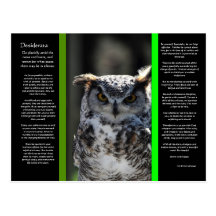 DESIDERATA Great Horn Owl Postcard 5