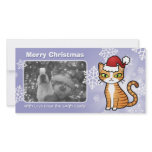 Design Your Own Cartoon Cat (Christmas) photo cards