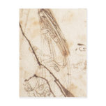 Designs for a Boat 1485 1487 ) is a drawing by Leo postcards