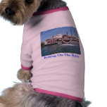 Desing Your Own Cute Pet Clothing Line pet clothing