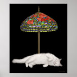 Desk Lamp Suntan Cat Poster posters