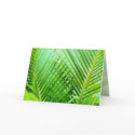 desktopDESIRES Textured Greeting Card 2