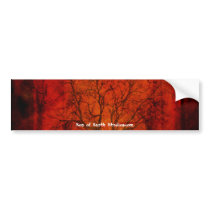 Desolate Bumper Sticker
