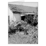 DESOLATION GREETING CARD