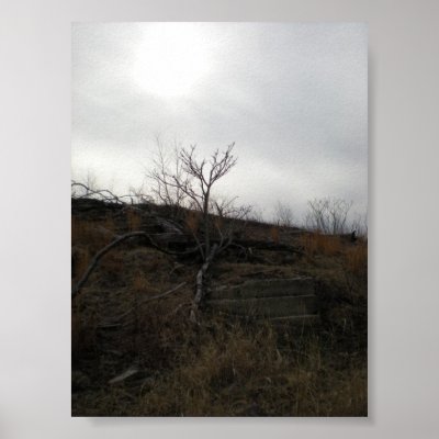Desolation Poster by CSound