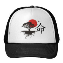 Destiny Mesh Hat