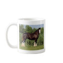 destiny mugs