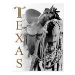 Detail of a Cowboy's Saddle in Texas Postcards