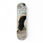 Detail Of Canon skateboards