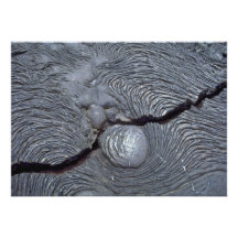 Detail of cracked lava, Bartolome Island, Galapago Personalized Invites