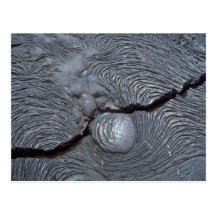 Detail of cracked lava, Bartolome Island, Galapago Postcards