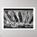 Detailed Branchs posters